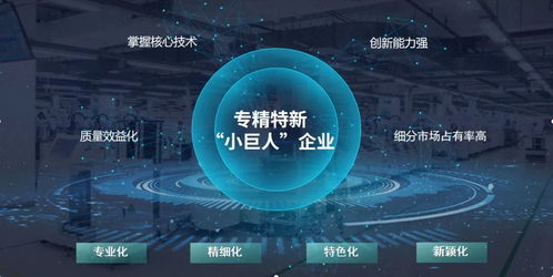 玄羽科技榮膺國家級“專精特新”小巨人企業，引領工業互聯網數據服務新篇章